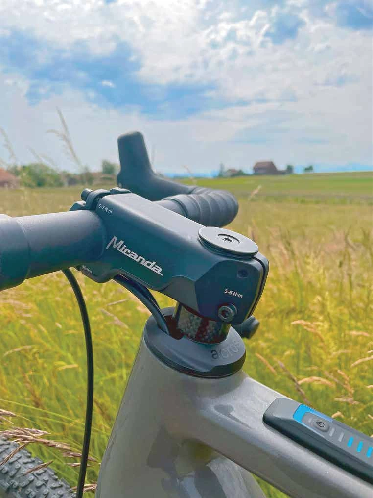 M1 Stem